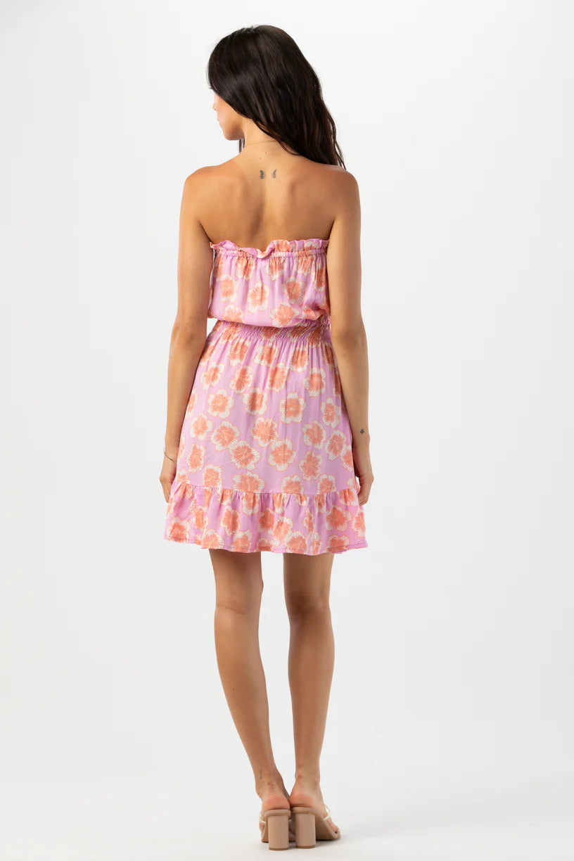 Ryden Mini Dress